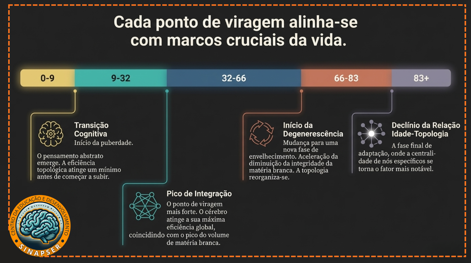 As 4 fases do cérebro.